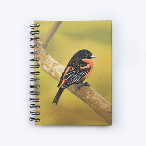 Large Notebook - Baltimore Oriole
