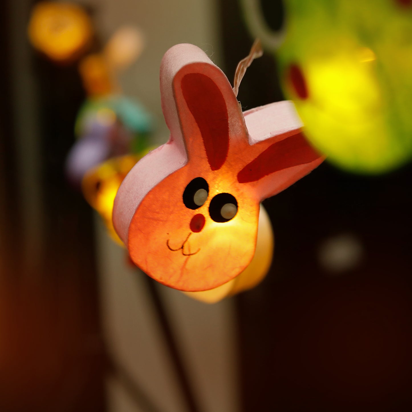 Plug-In String Lights Zoo Party