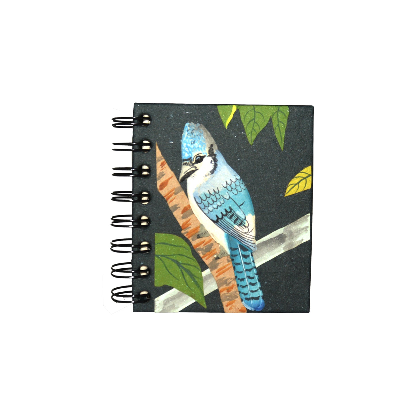 Small Notebook Blue Jay Embossed