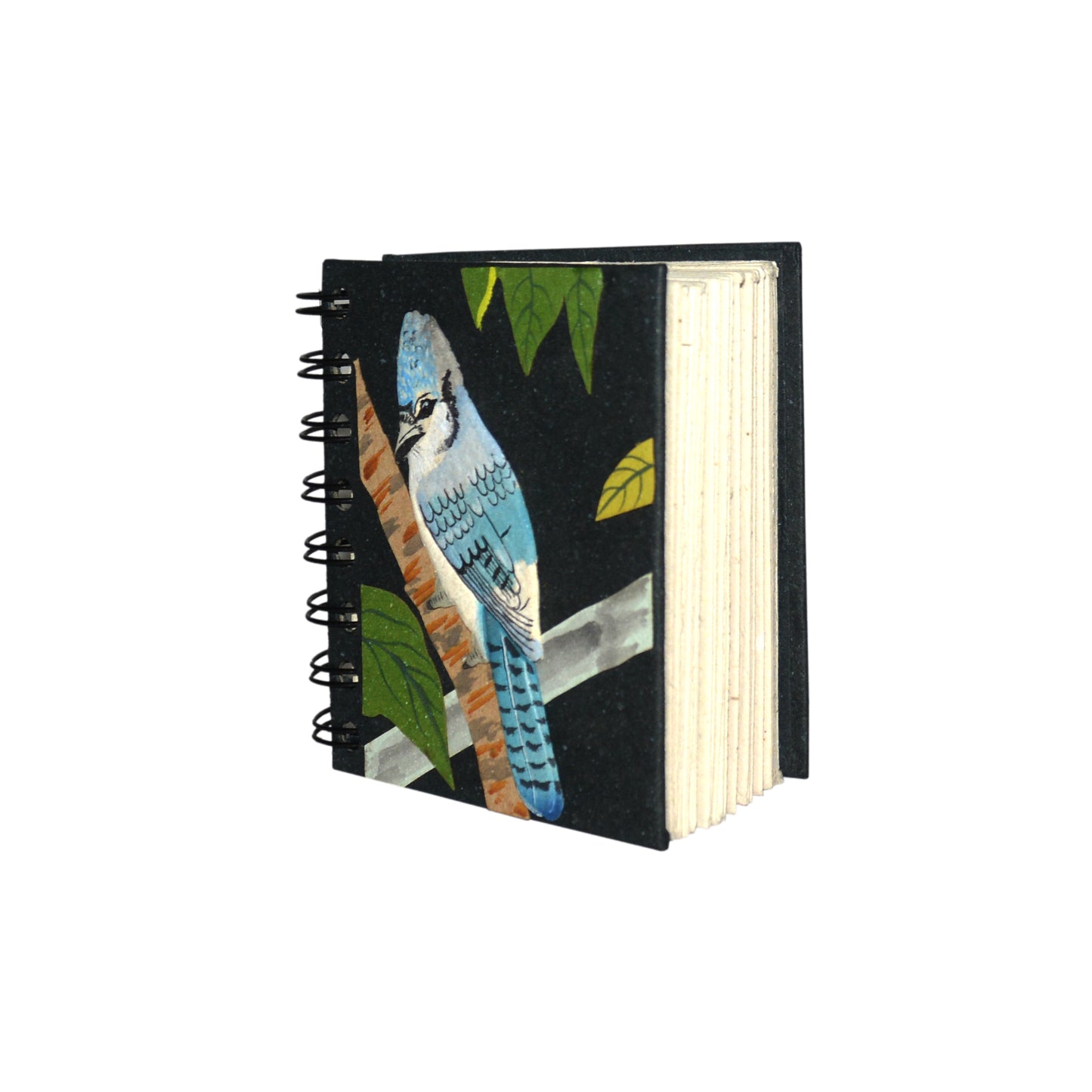 Small Notebook Blue Jay Embossed