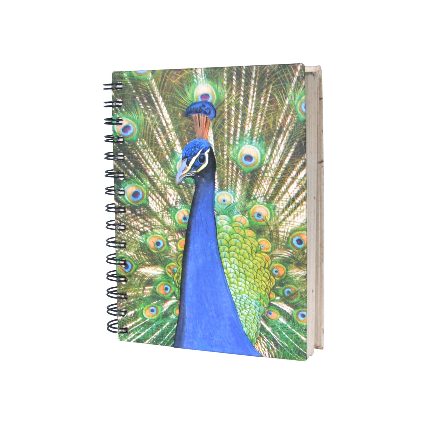 Large Notebook Peacock Embossed