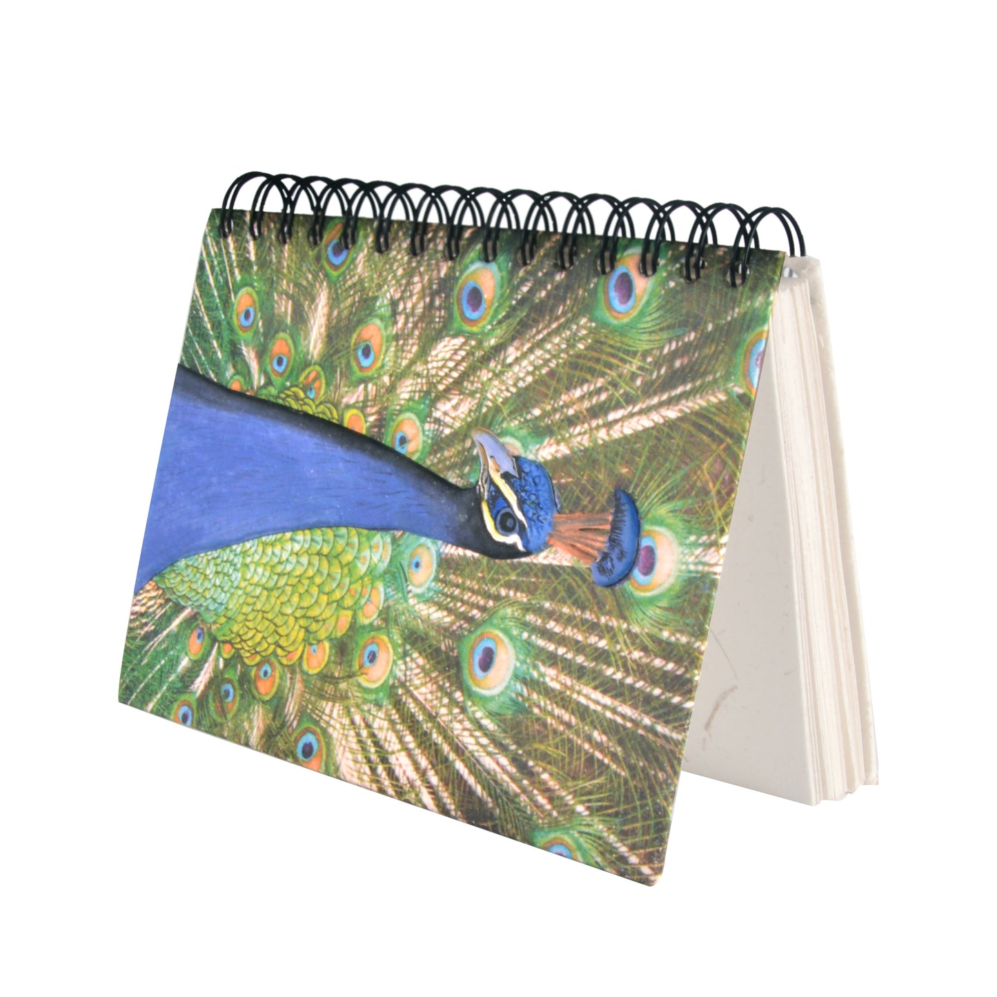 Large Notebook Peacock Embossed
