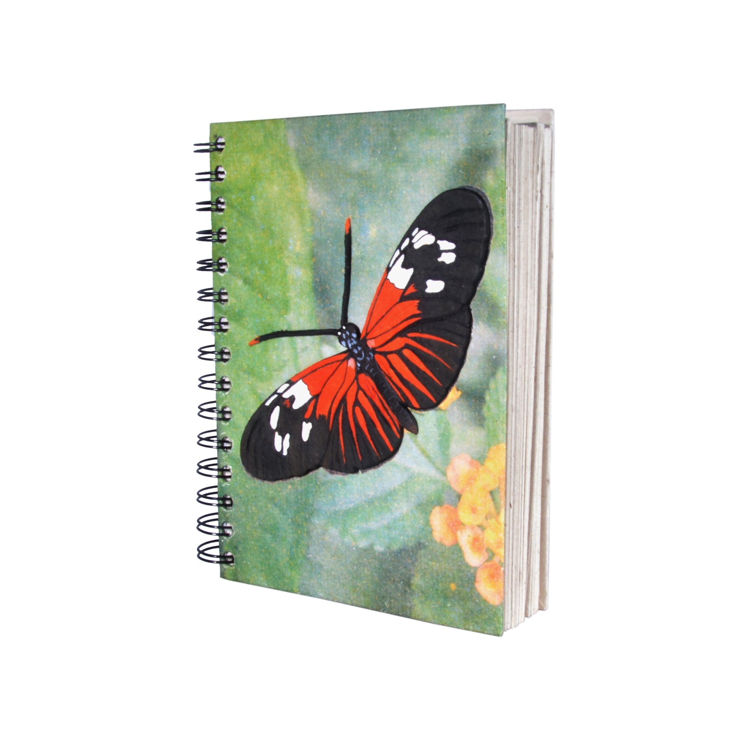 Large Notebook - Butterfly Black & Red