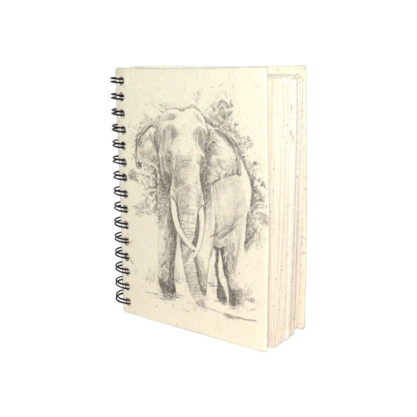 Large Notebook Tusker Sketch
