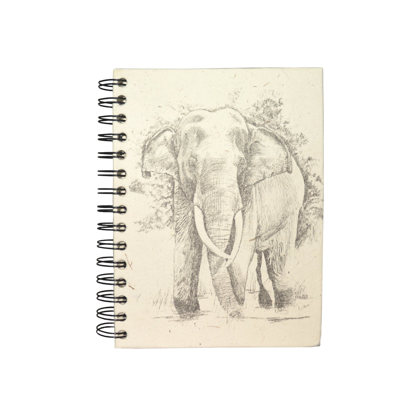 Large Notebook Tusker Sketch