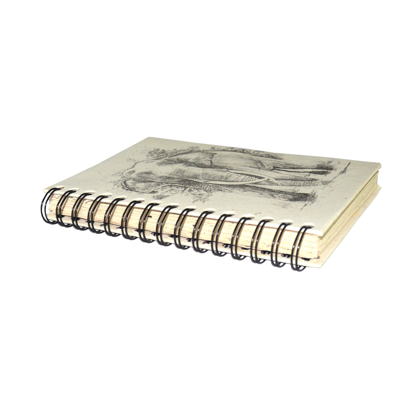 Large Notebook Tusker Sketch