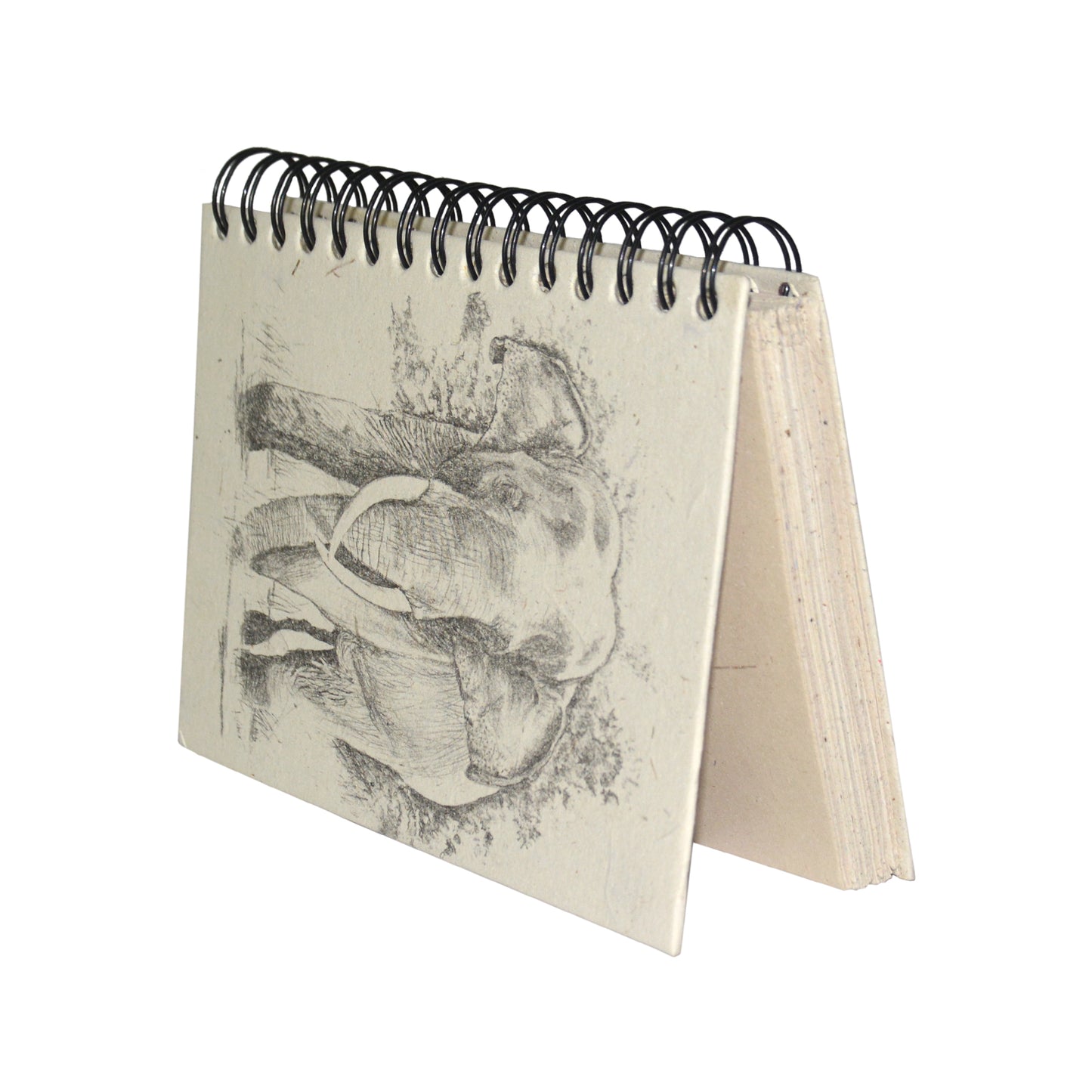 Large Notebook Tusker Sketch