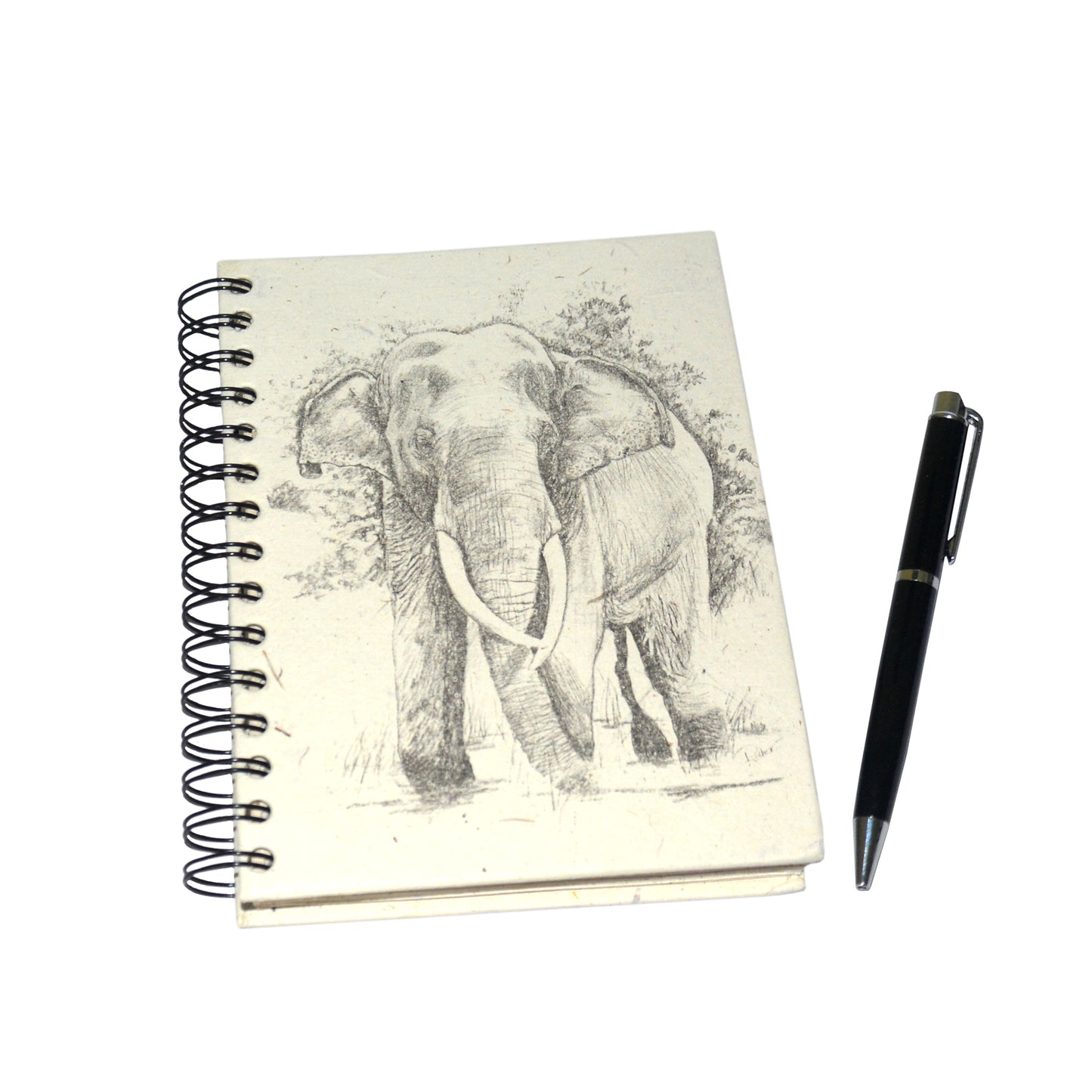 Large Notebook Tusker Sketch