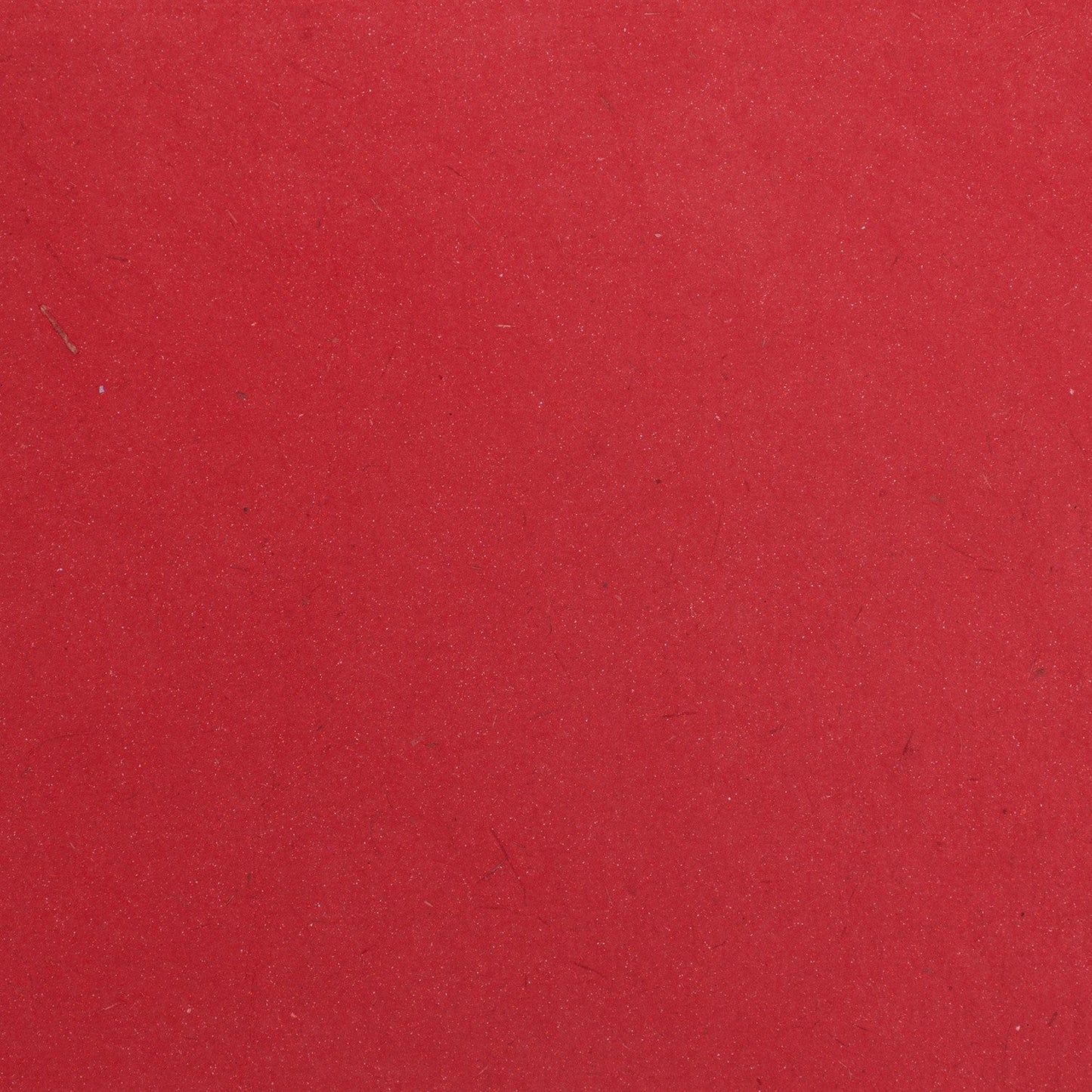 Elephant Dung Paper Cardstock - 25pc (8.5" x 11")