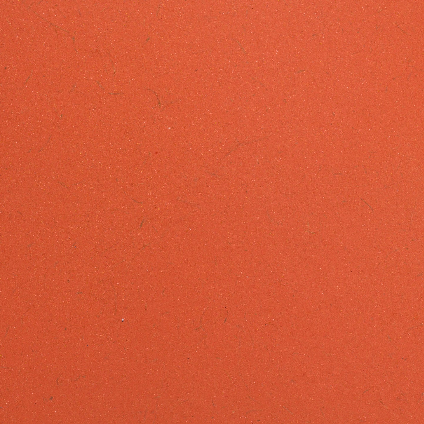 Elephant Dung Paper Cardstock - 25pc (8.5" x 11")