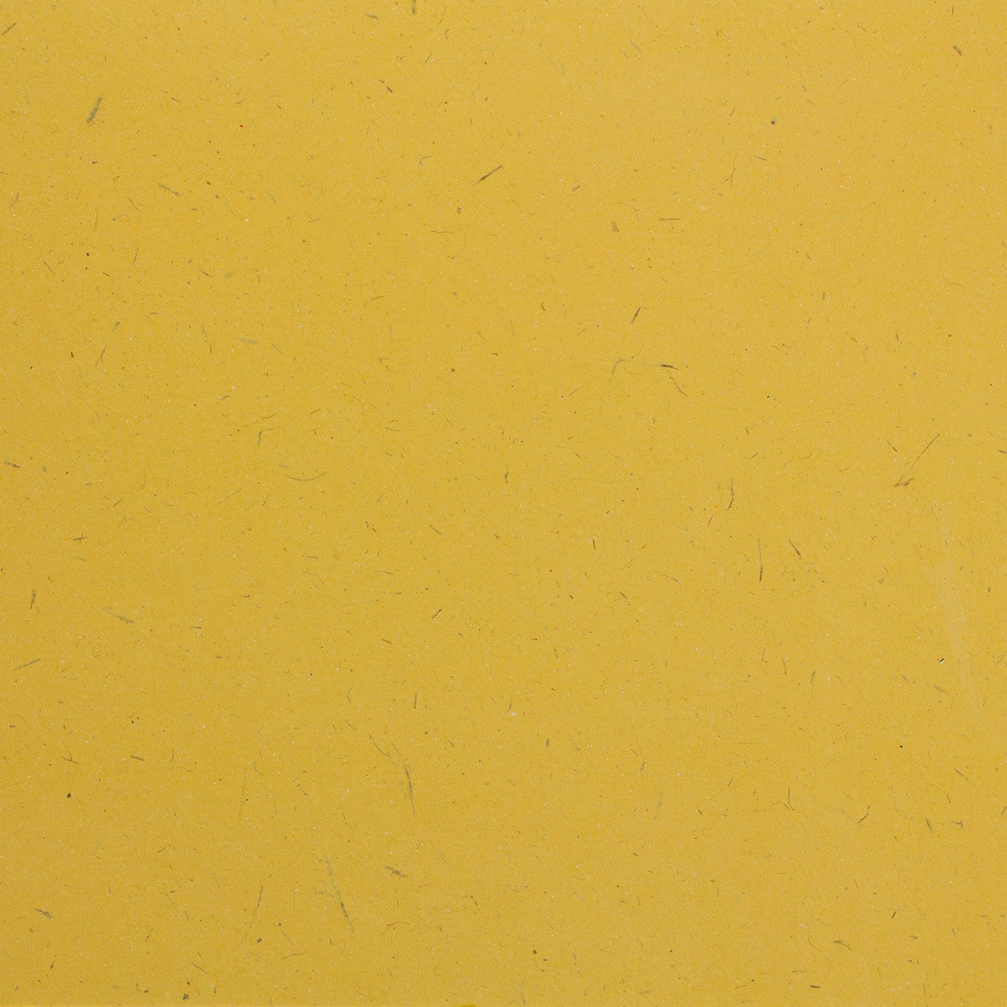 Elephant Dung Paper Cardstock - 25pc (8.5" x 11")