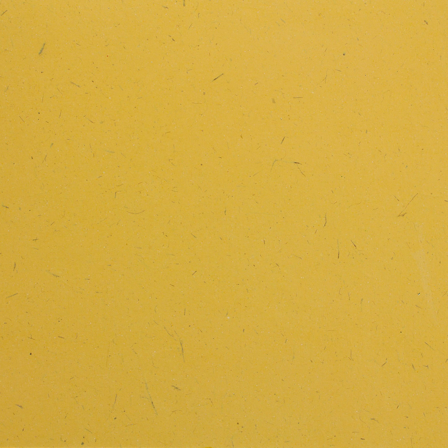 Elephant Dung Paper Parent Sheets (28" x 34")