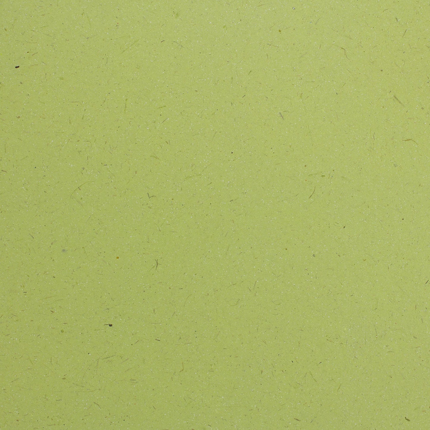 Elephant Dung Paper Cardstock - 25pc (8.5" x 11")