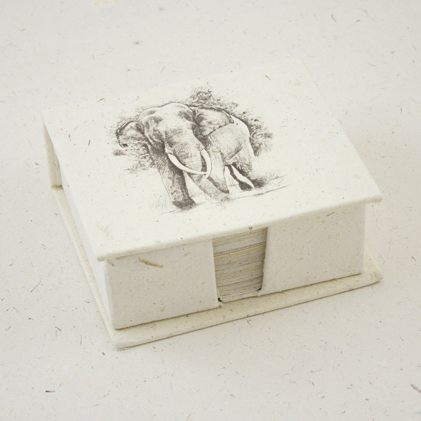 Note Box Tusker Sketch