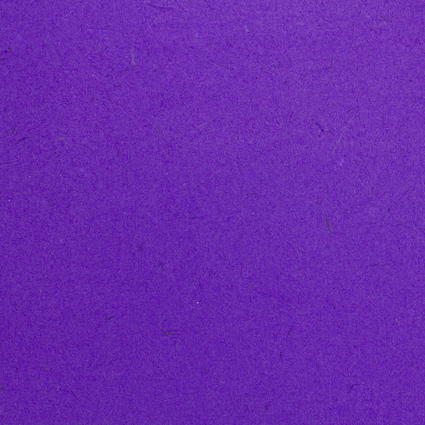 Elephant Dung Paper Cardstock - 25pc (8.5" x 11")