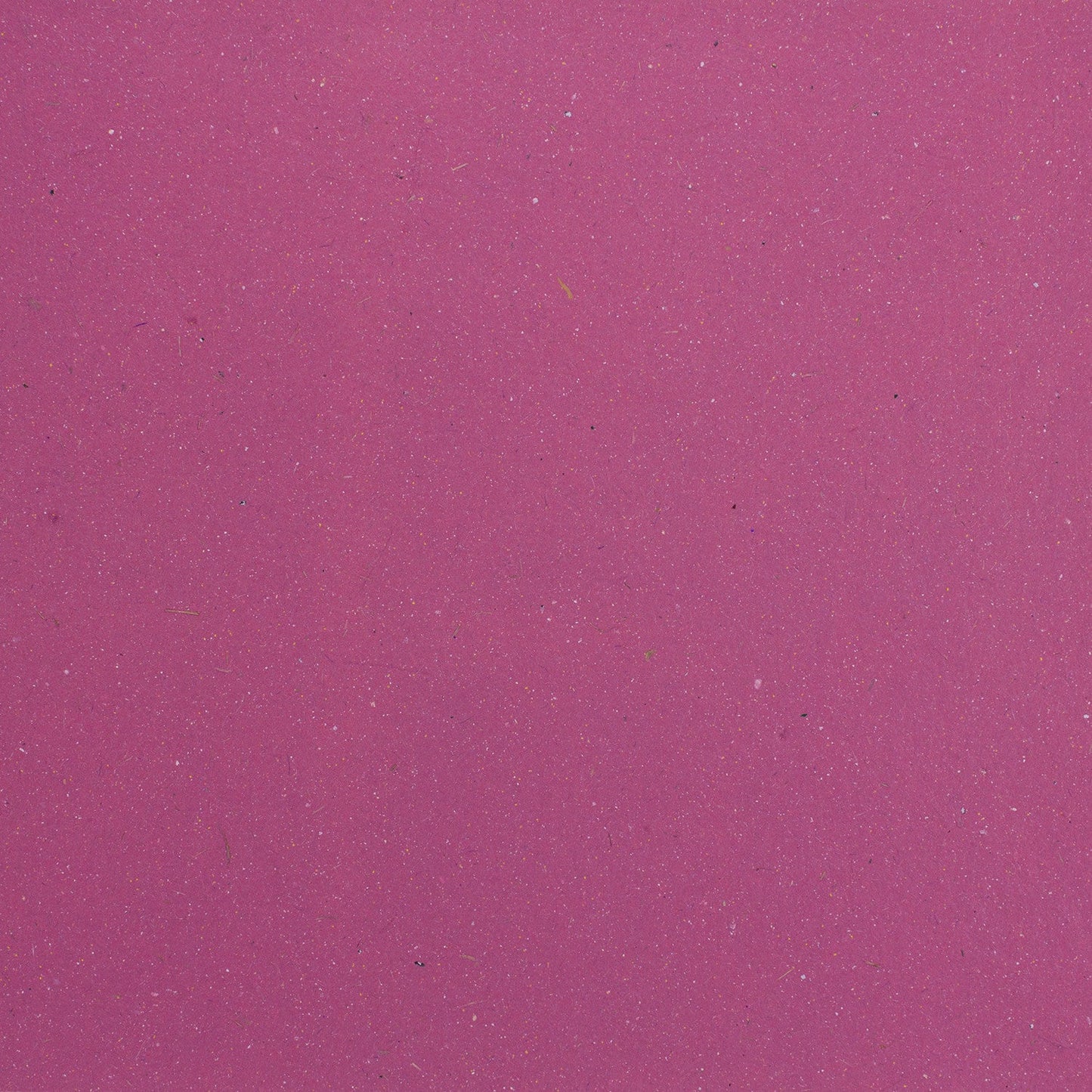 Elephant Dung Paper Cardstock - 25pc (8.5" x 11")