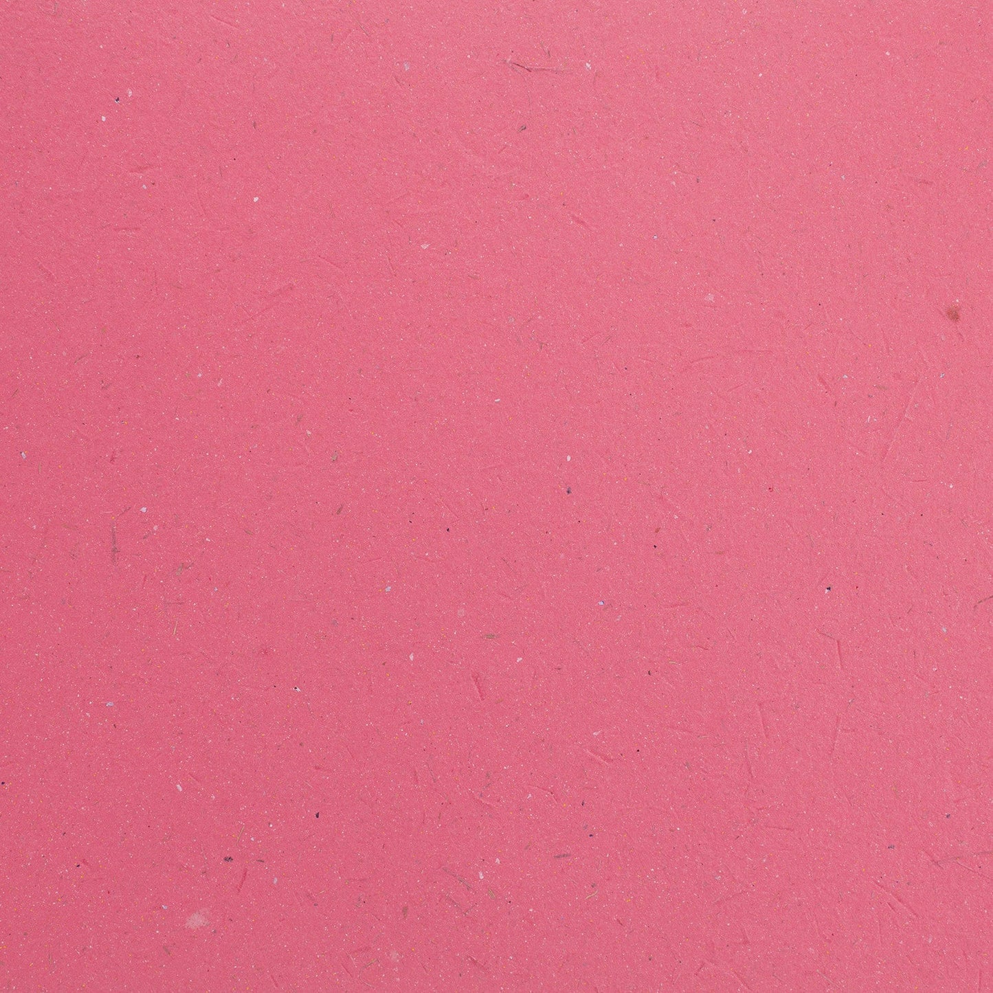 Elephant Dung Paper Cardstock - 25pc (8.5" x 11")