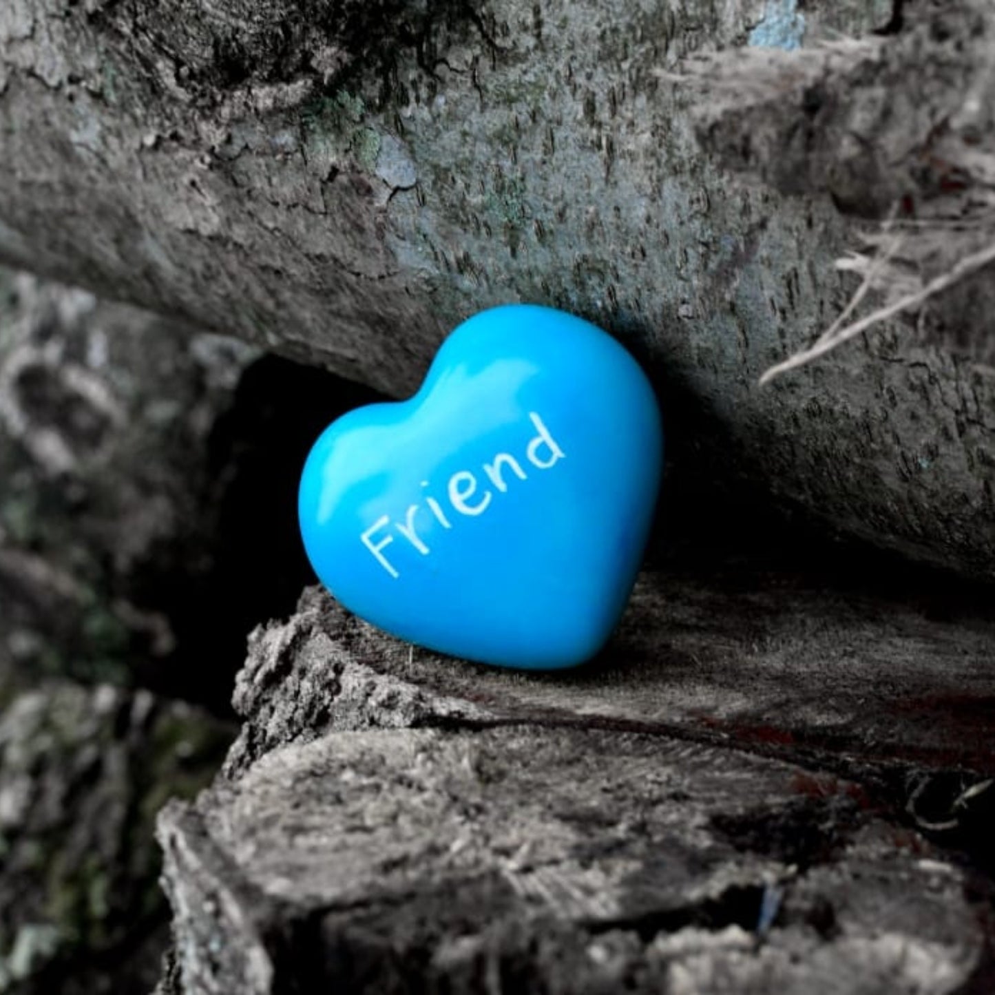 Soapstone Friend Heart