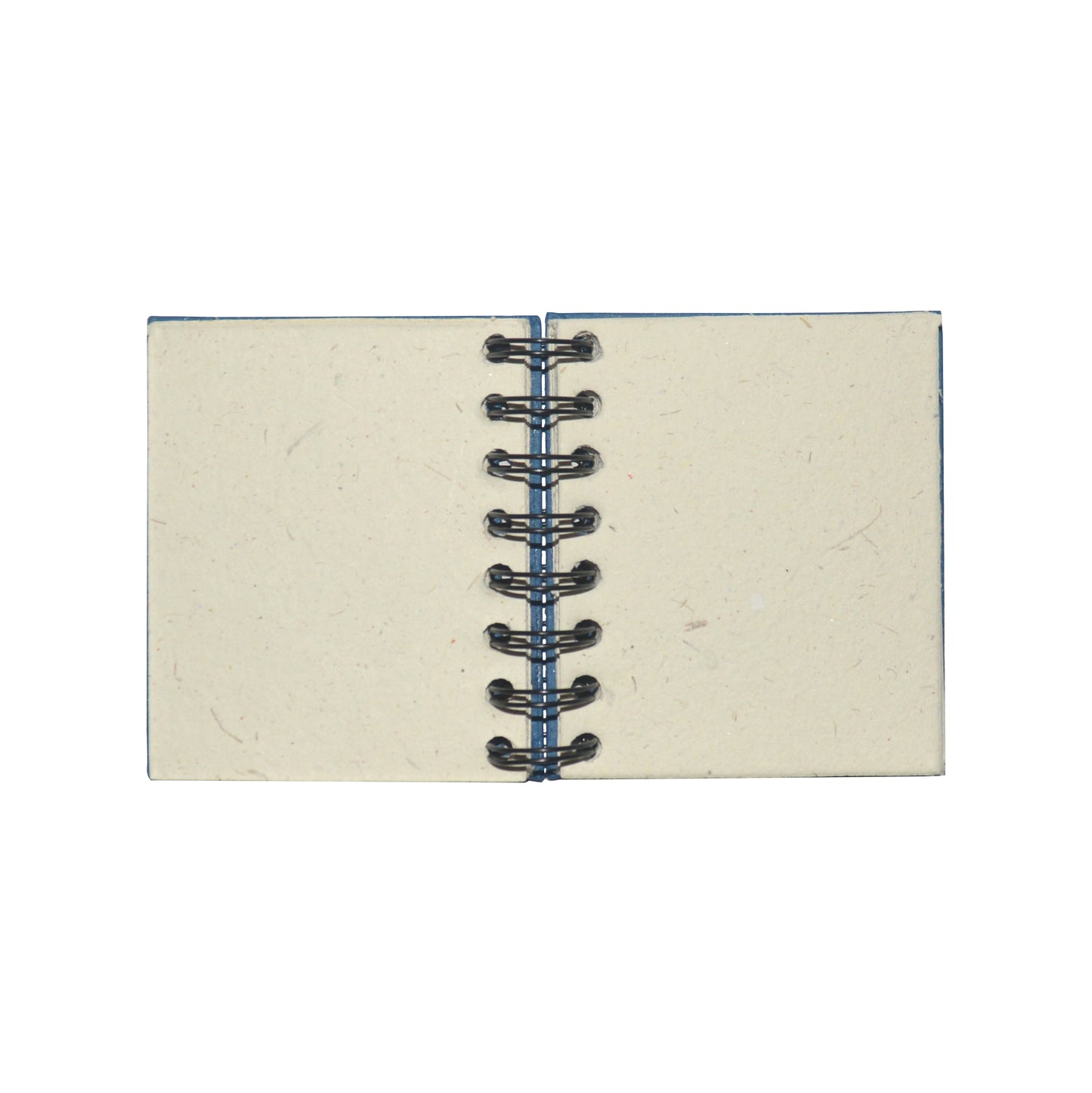 Small Notebook Sea Turtle