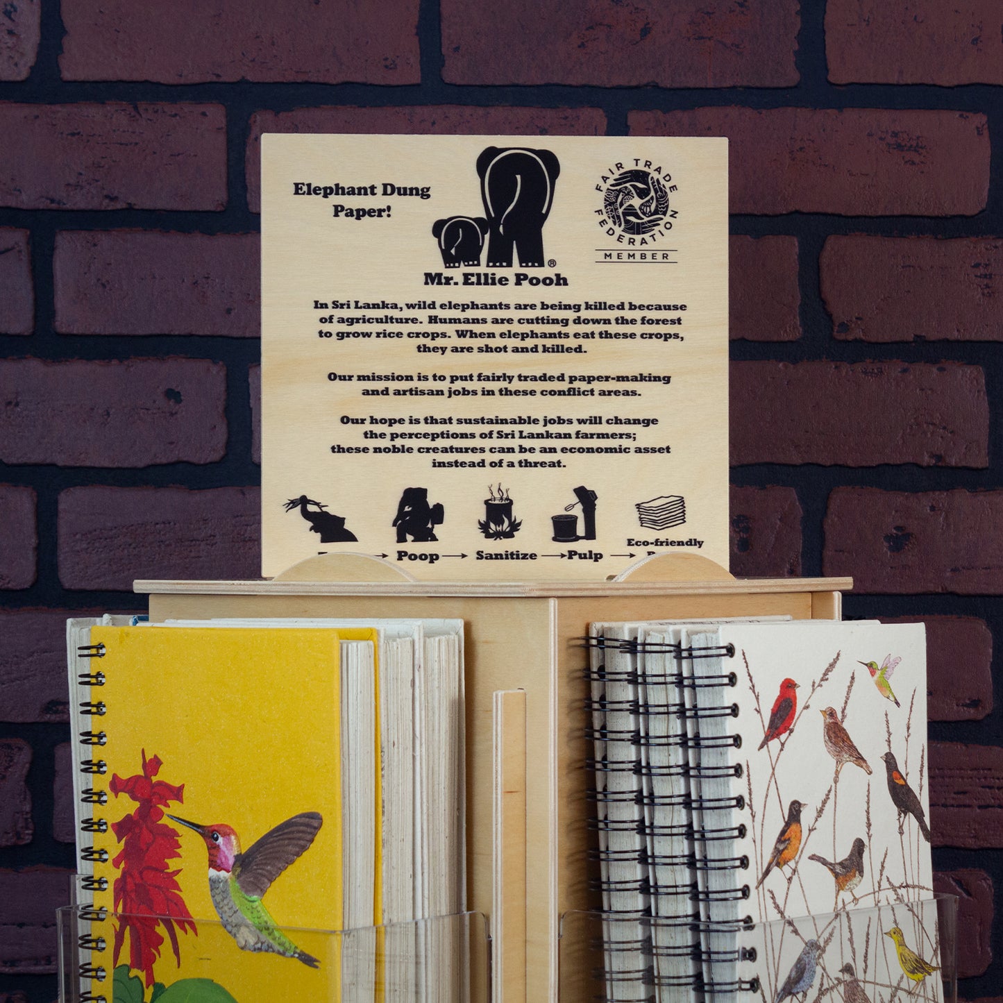 Brief Story Display