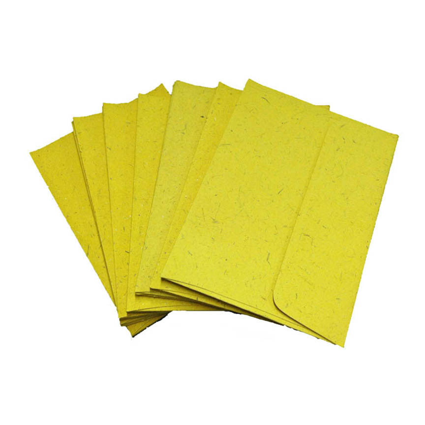 A6 Envelopes - 25pc (4 3/4" x 6 1/2")