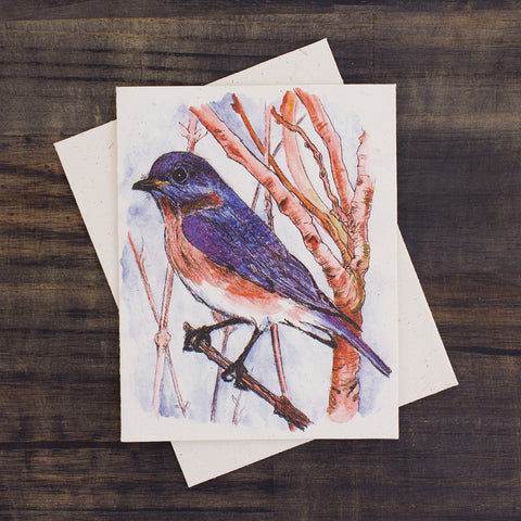 Single Greeting Card Bluebird Sketch