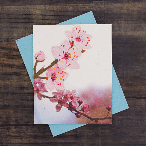 Single Greeting Card Cherry Blossoms Embossed