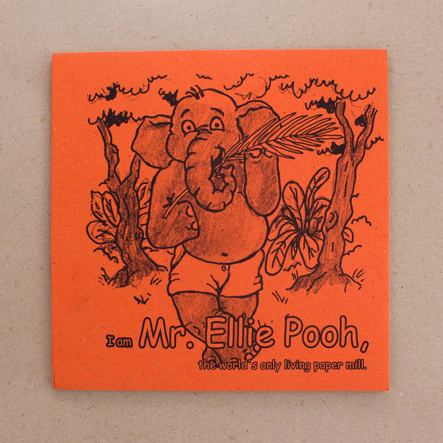 Mr. Ellie Pooh Story Coloring Book