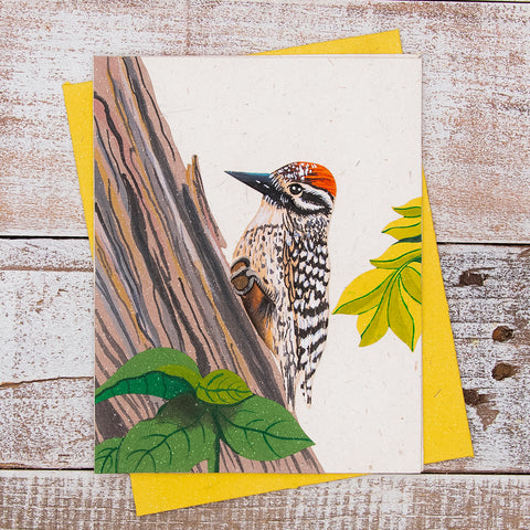 Single Greeting Card Woodpecker Embossed