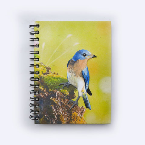 Large Notebook - Eastern Bluebird