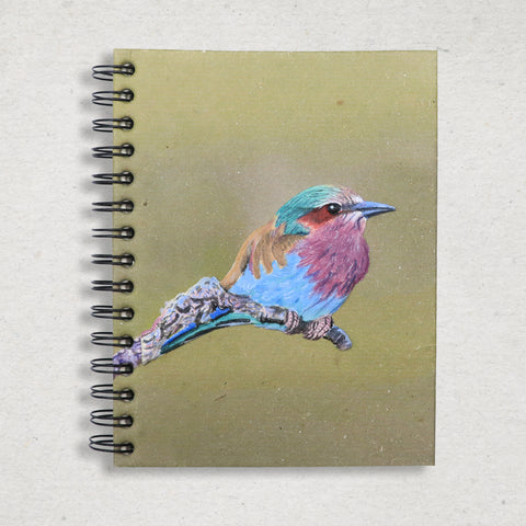 Large Notebook - Lilac Breasted Bird