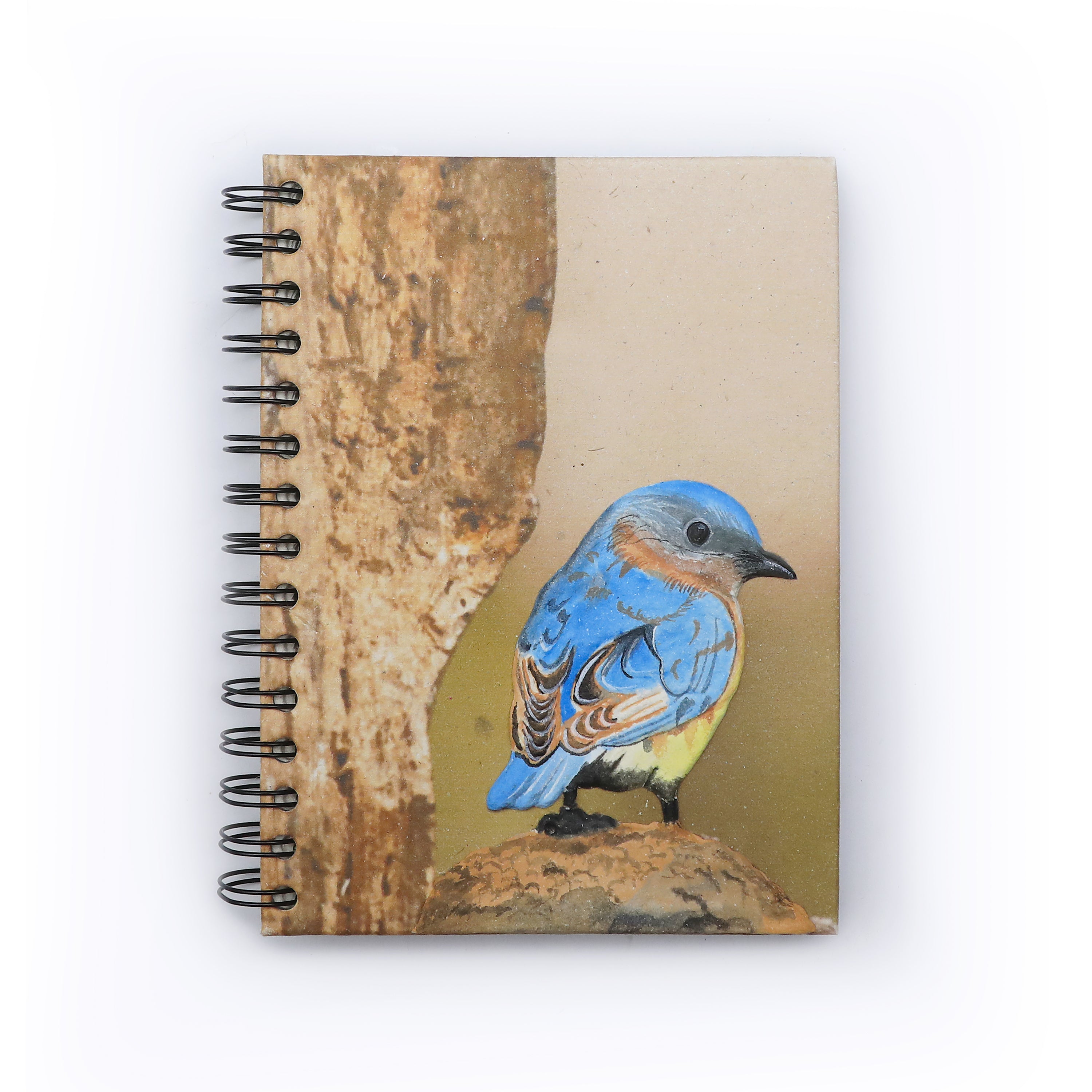 Large Notebook - Blue-fronted Redstart