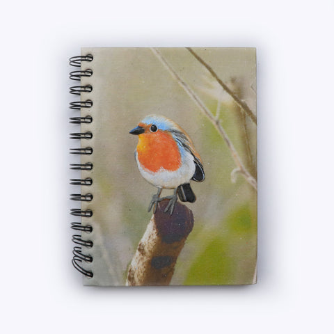 Large Notebook - Robin