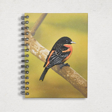 Large Notebook - Baltimore Oriole