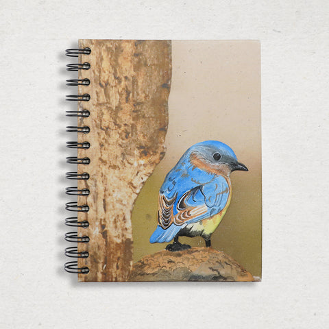 Large Notebook - Blue-fronted Redstart