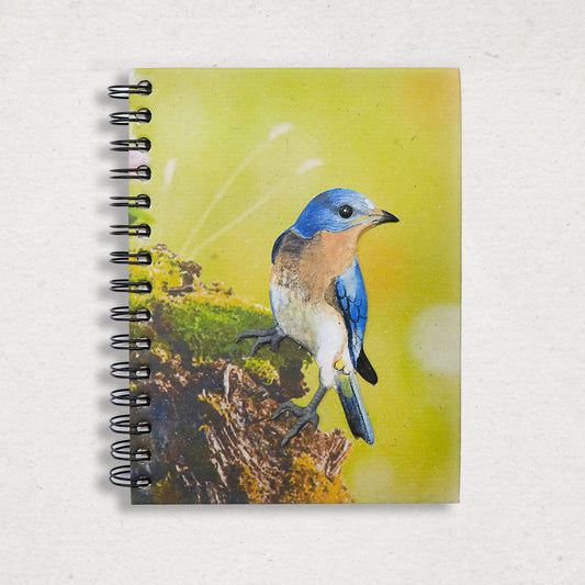 Large Notebook - Eastern Bluebird