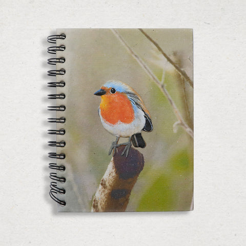 Large Notebook - Robin