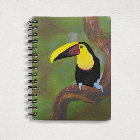 Large Notebook - Toucan