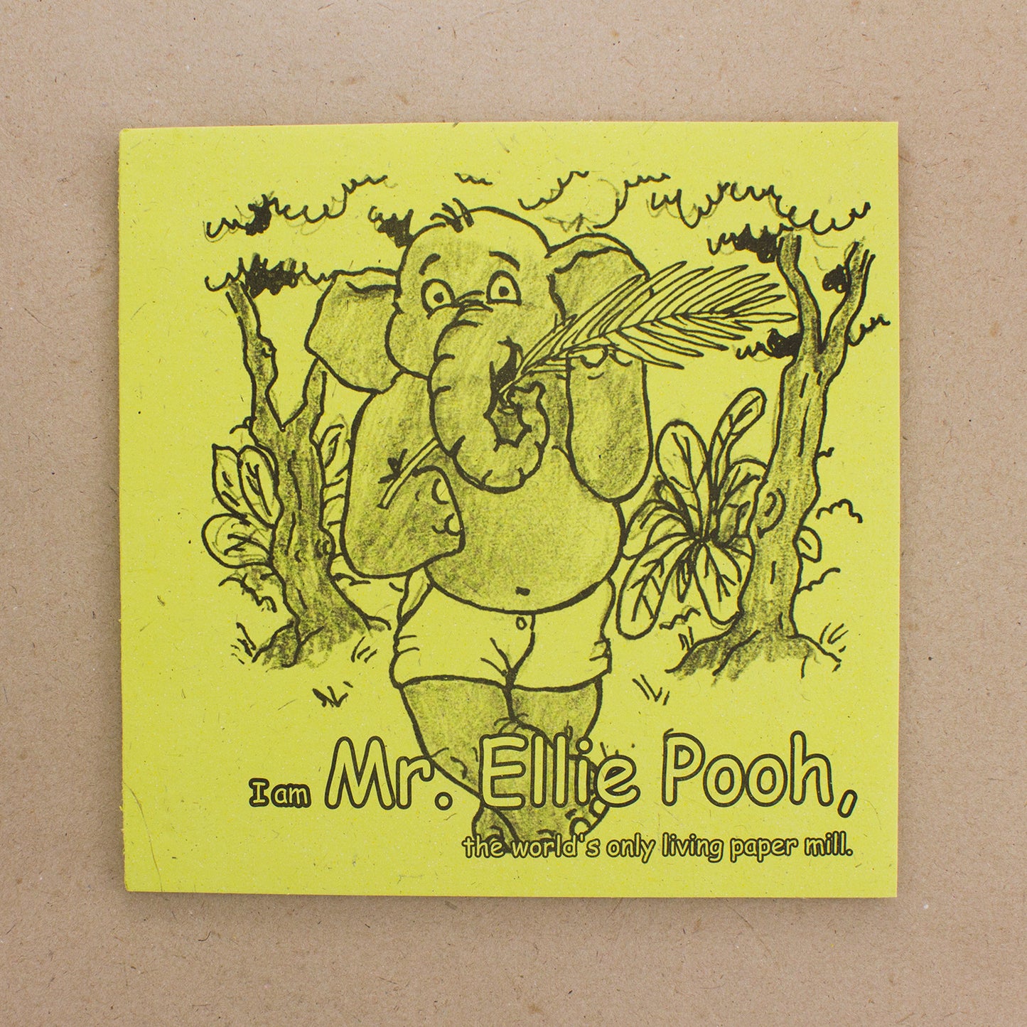 I Am Mr. Ellie Pooh Children's Story Book | Handmade in Sri Lanka | 10" x 10"