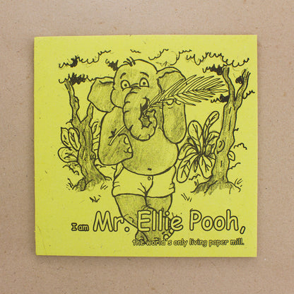 I Am Mr. Ellie Pooh Children's Story Book | Handmade in Sri Lanka | 10" x 10"
