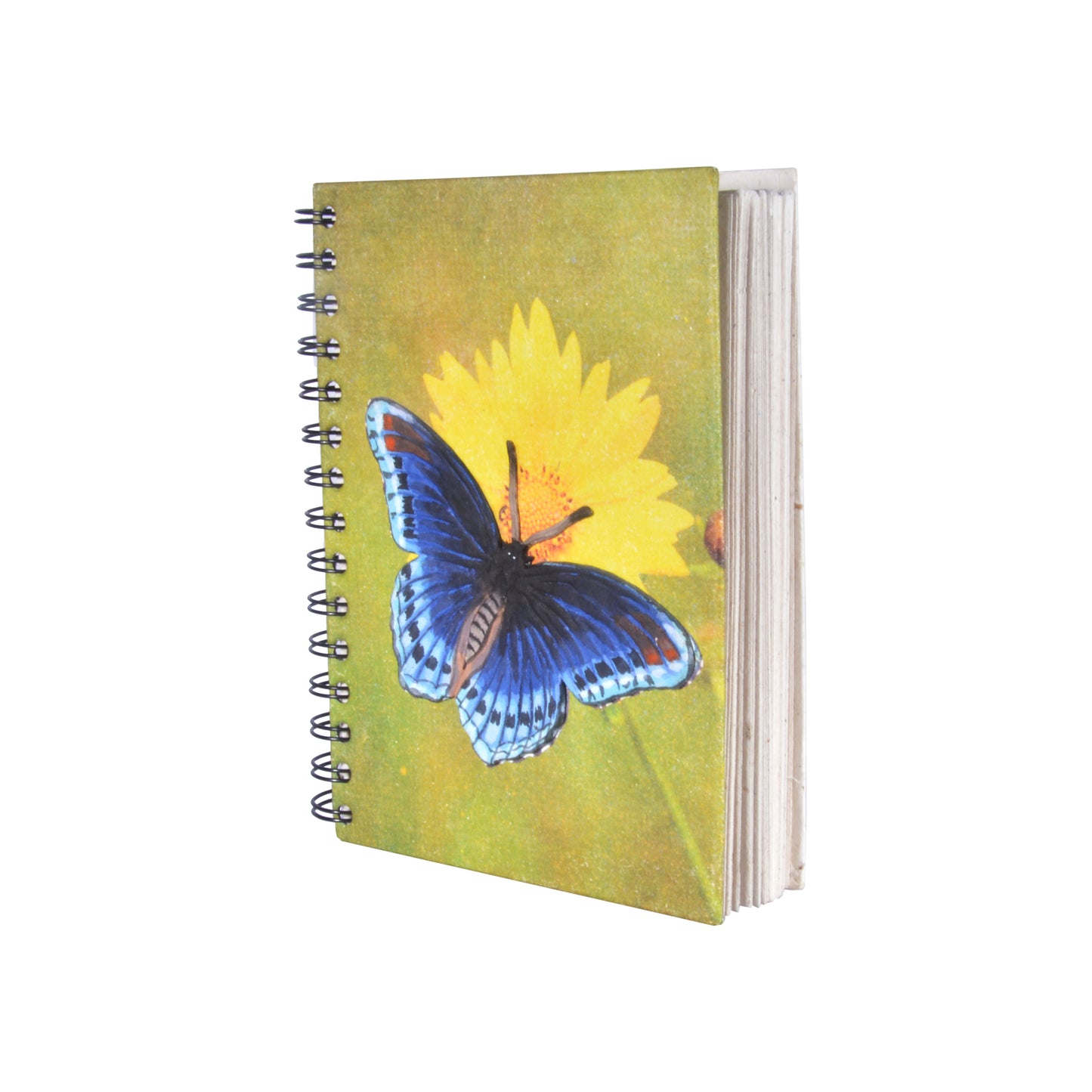 Large Notebook - Butterfly Blue