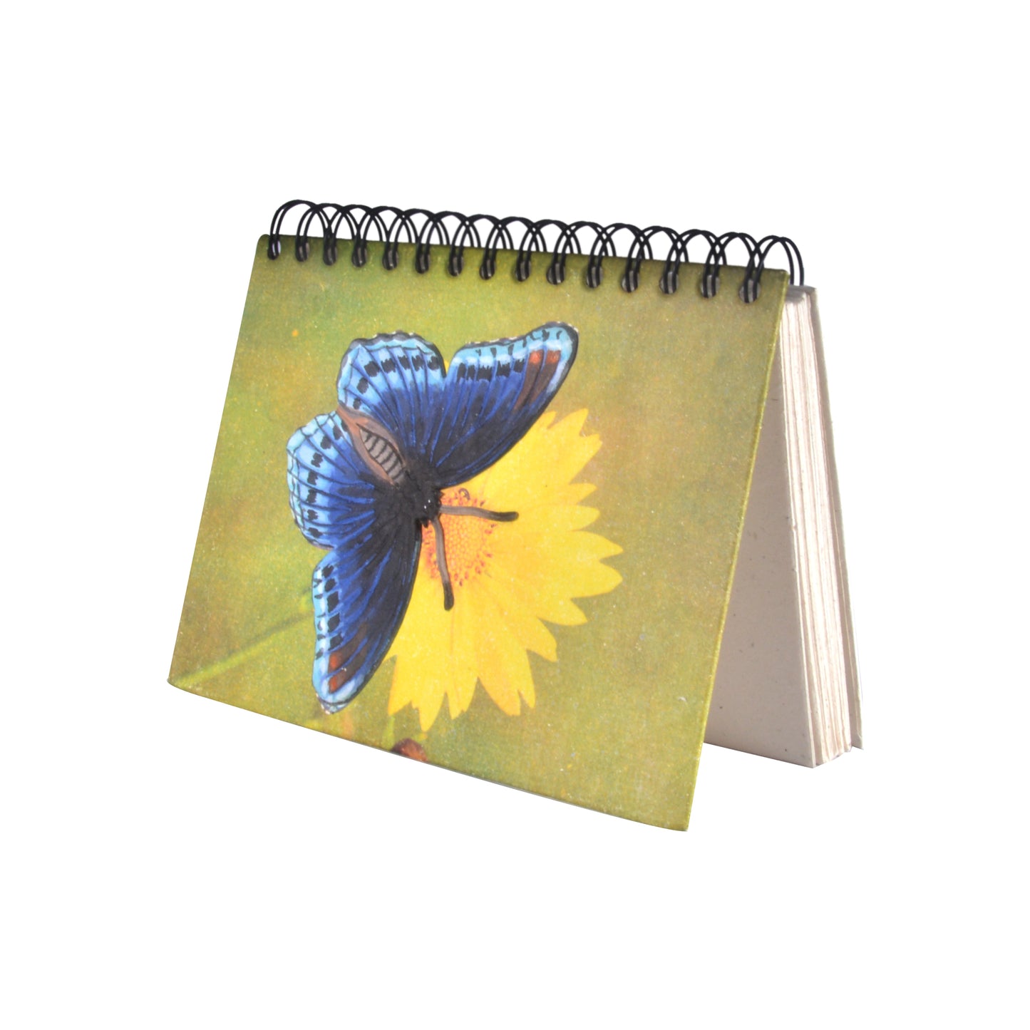 Large Notebook - Butterfly Blue