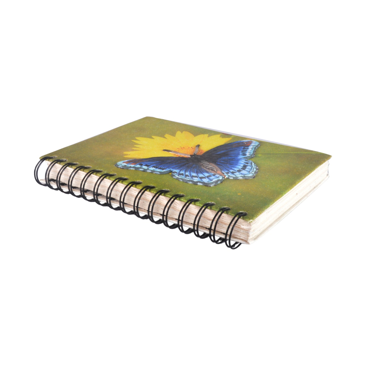Large Notebook - Butterfly Blue