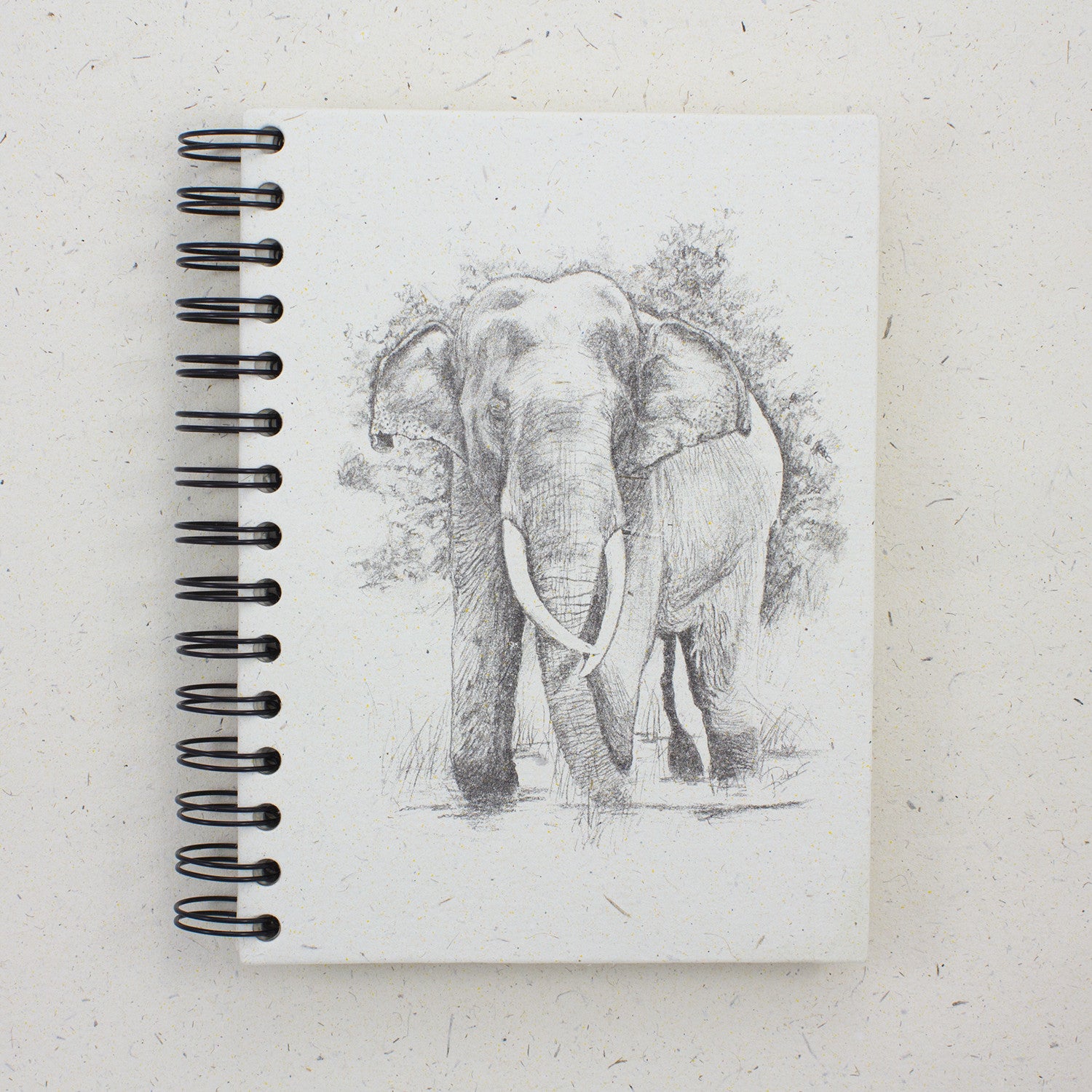 Large Notebook Tusker Sketch