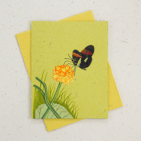 Single Greeting Card Butterfly Light Green