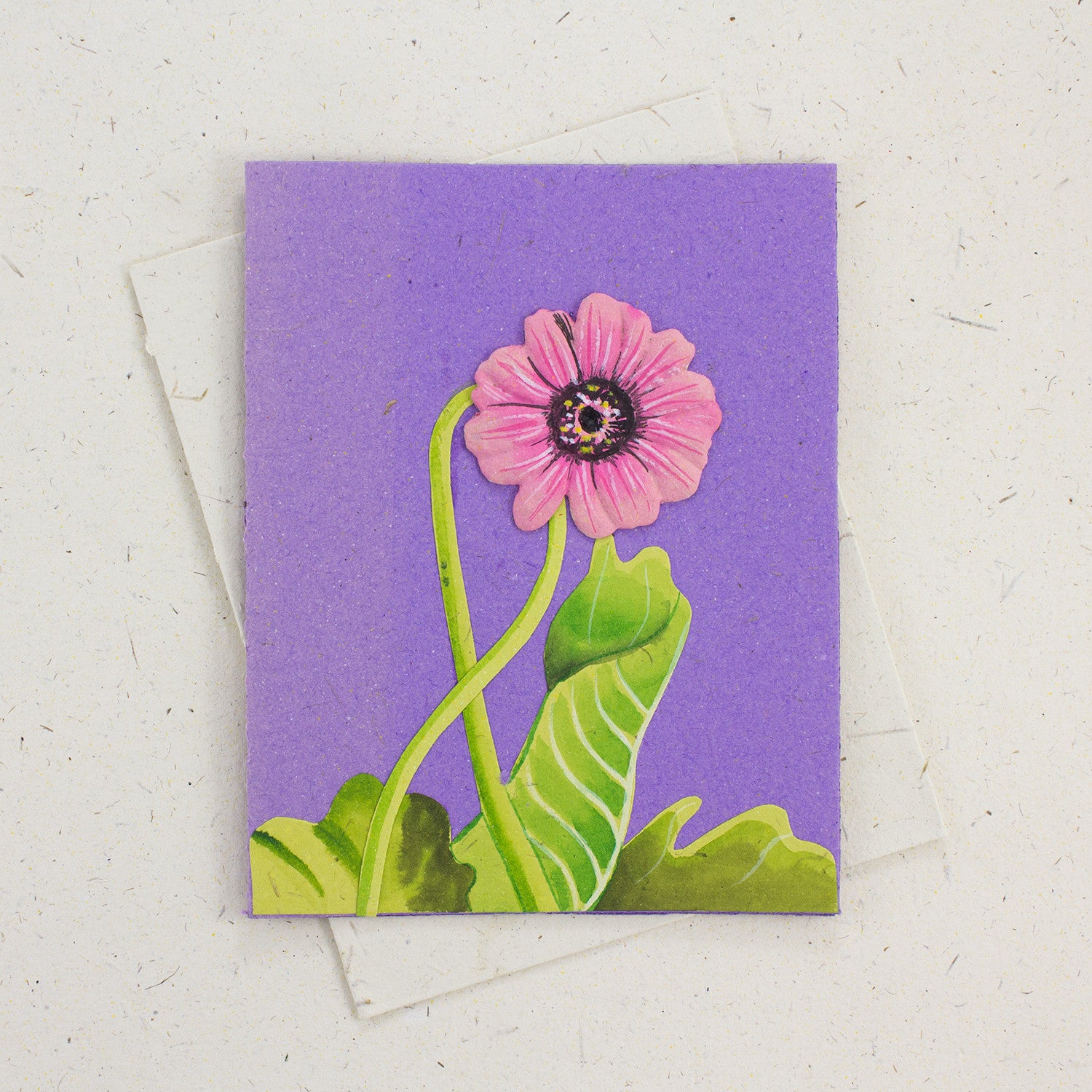 Single Greeting Card Pink Daisy Flower Purple