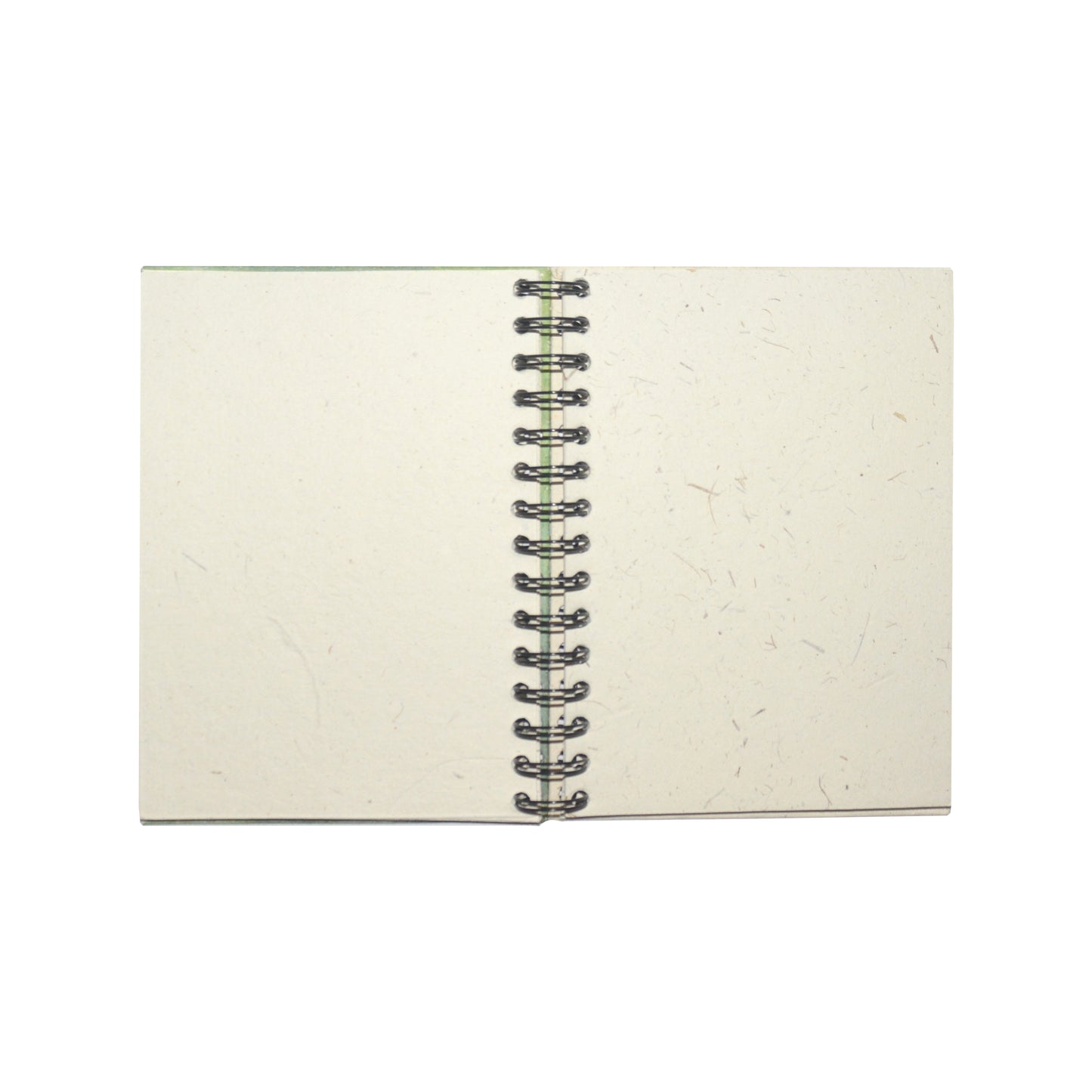 Large Notebook - Butterfly Blue