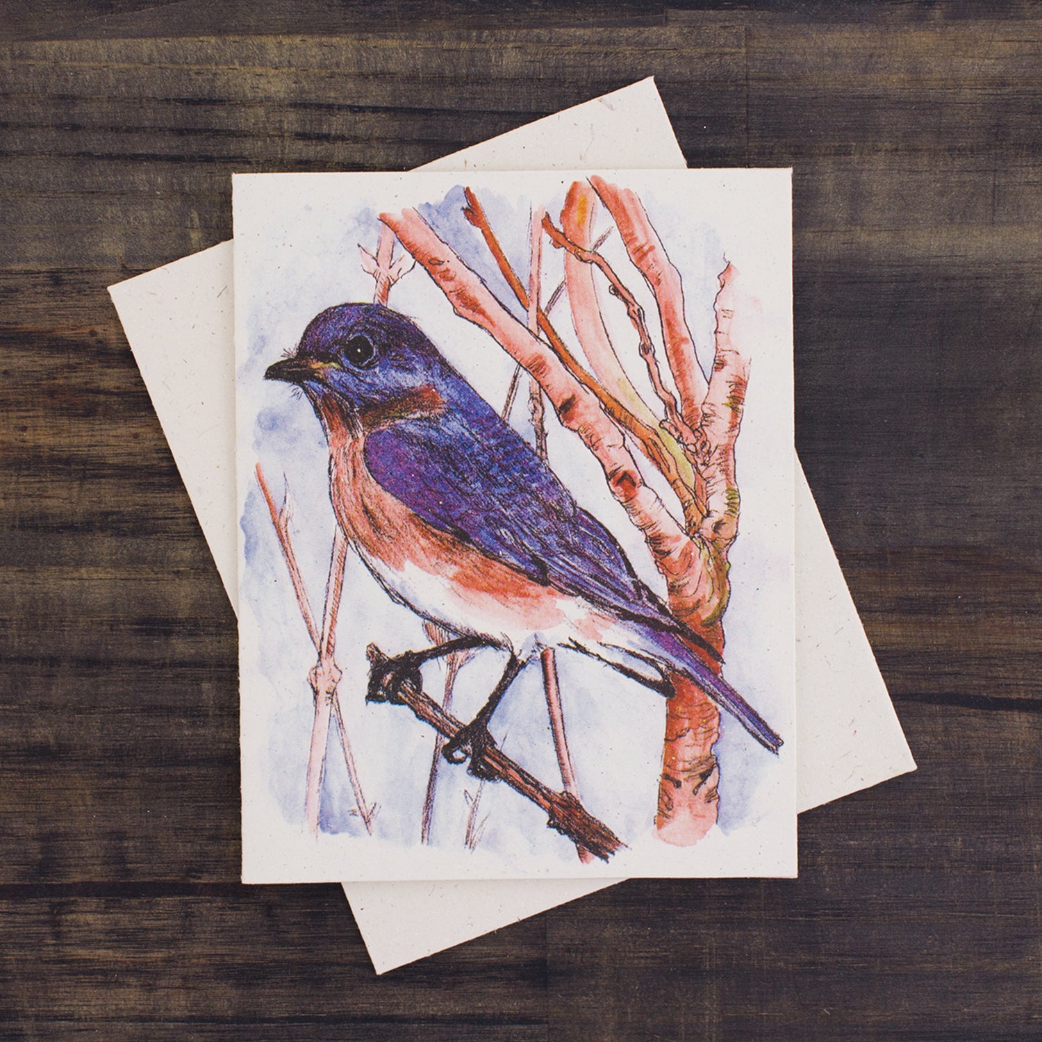 Single Greeting Card Bluebird Sketch