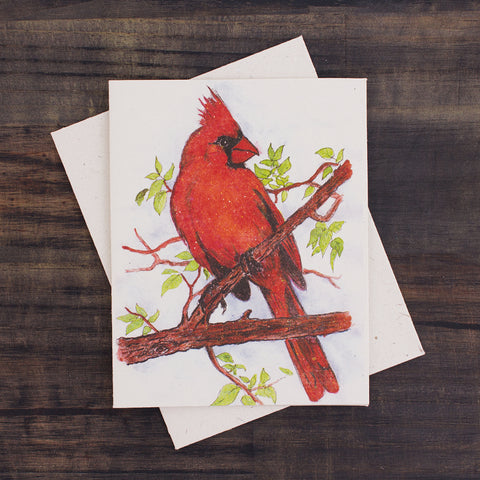 Single Greeting Card Cardinal Sketch