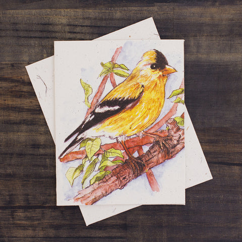 Single Greeting Card Goldfinch Sketch